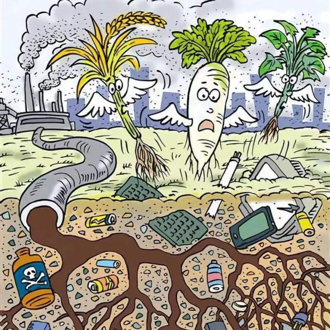 垃圾不分类的危害你了解吗？