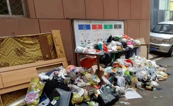 最新调研表明：垃圾分类工作取得实质性成效，但前端分类投放痛点仍普遍存在