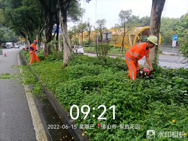 项目动态 | 打造美丽凤城，筑文明城市生态